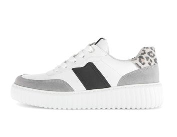  p17864316 multicolour