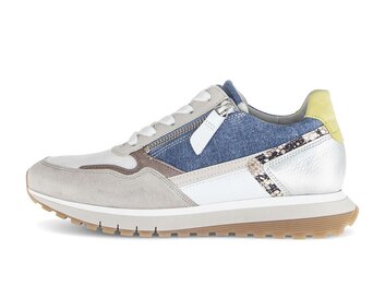  p17864294 multicolore