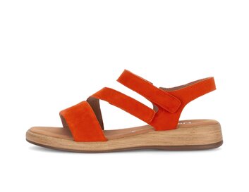  p18171008 orange