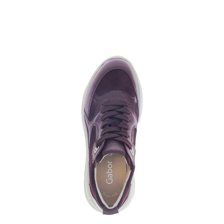 Basket basse violet #5