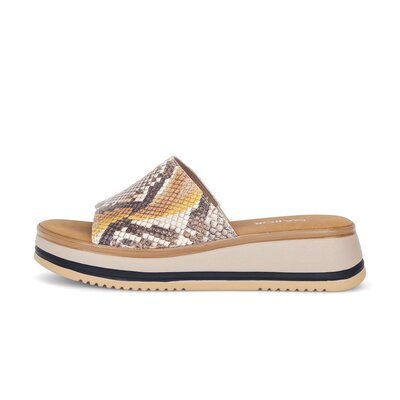 Ciabatta multicolore