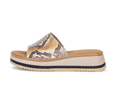 Ciabatta multicolore