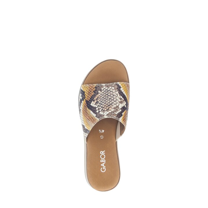 Ciabatta multicolore #5