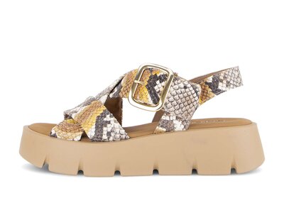 Plateau Sandale multicolour