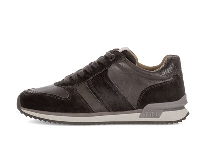 Lage sneaker bruin