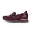 Slipper rot