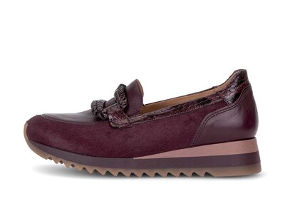 Slipper rot