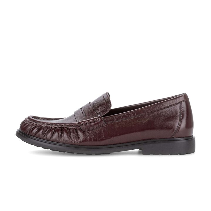 Slipper rot #0