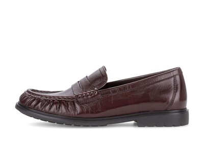 Slipper rot