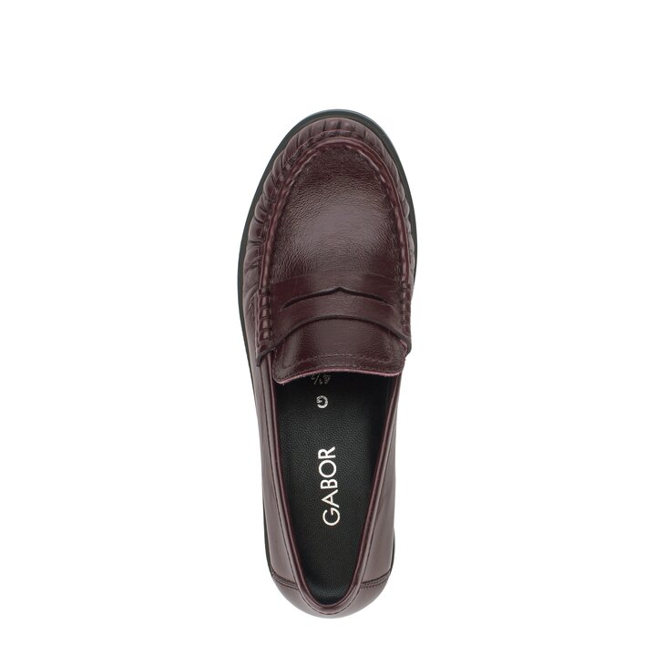 Slipper rot #5