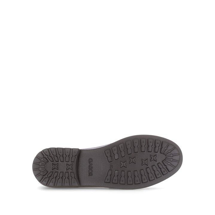 Slipper rot #4