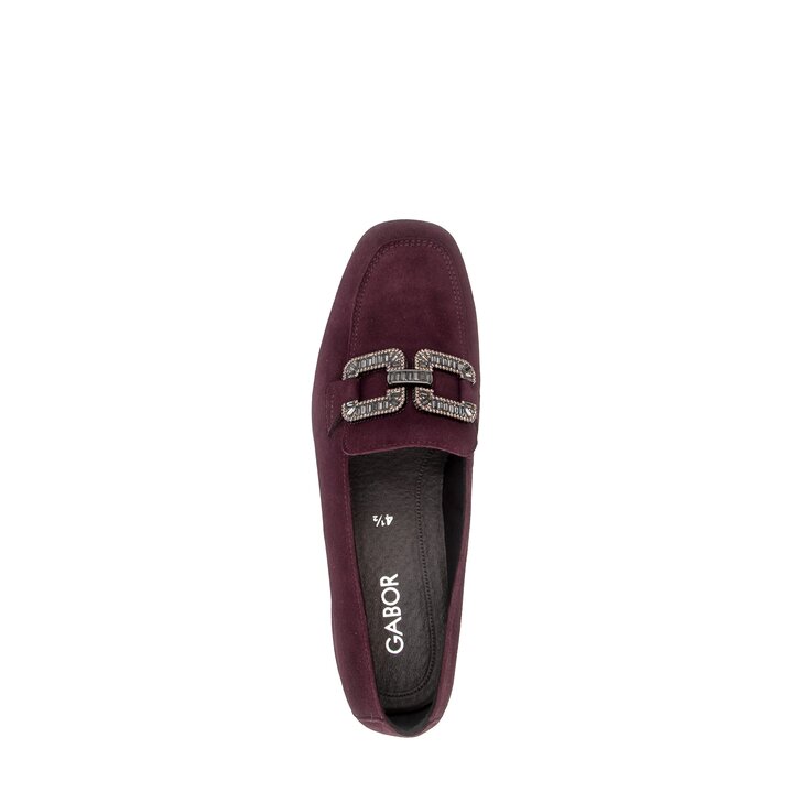 Slipper rot #5