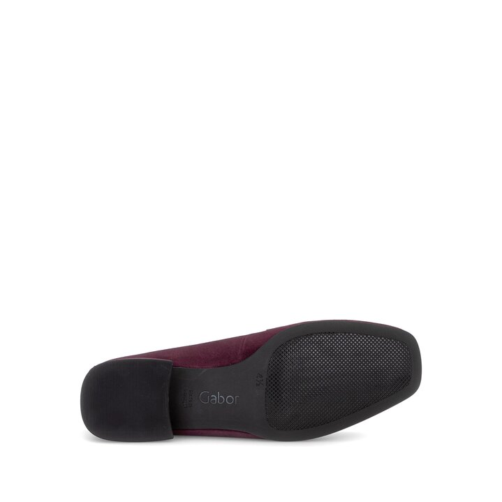 Slipper rot #4