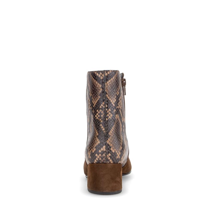Bottine élégante marron #3