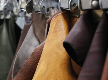 Mehrere Lederhäute in Braun- und Gelbtönen hängen dicht nebeneinander an Metallklemmen. | © Gabor Shoes GmbH, Rosenheim