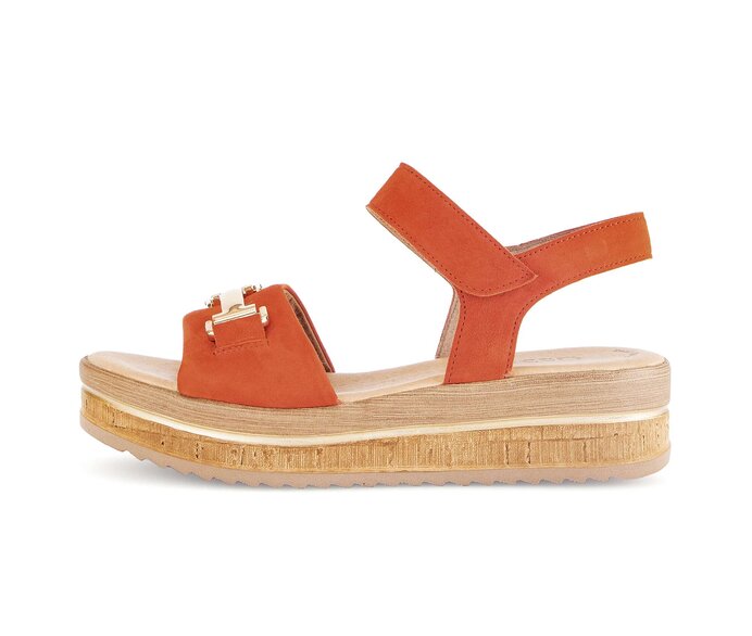  p14334828 orange #0