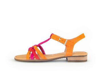  p14334887 multicolour