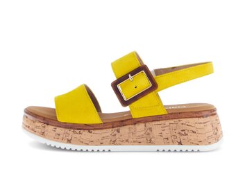  p17995623 yellow