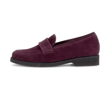 Slipper rot