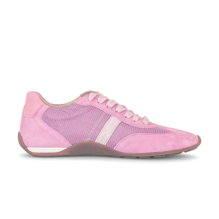 Basket basse rose #1