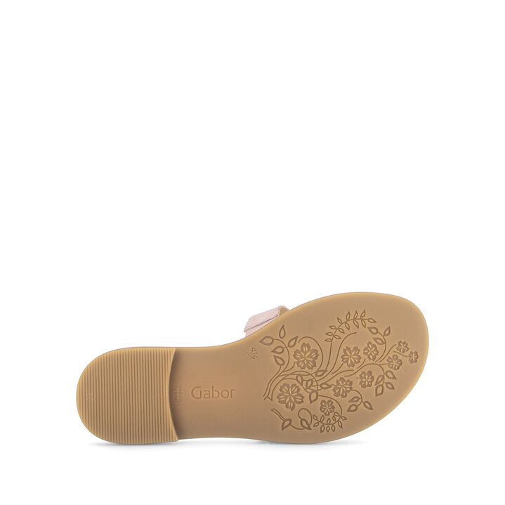 Pantolette rosa #4