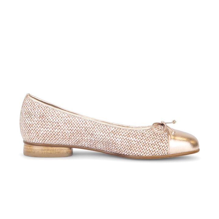 Eleganter Ballerina rosa #1