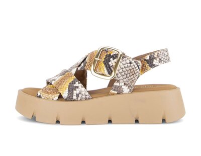 Plateau Sandale multicolour