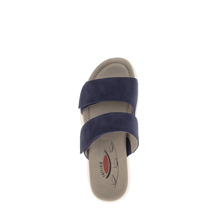 Mule bleu #5