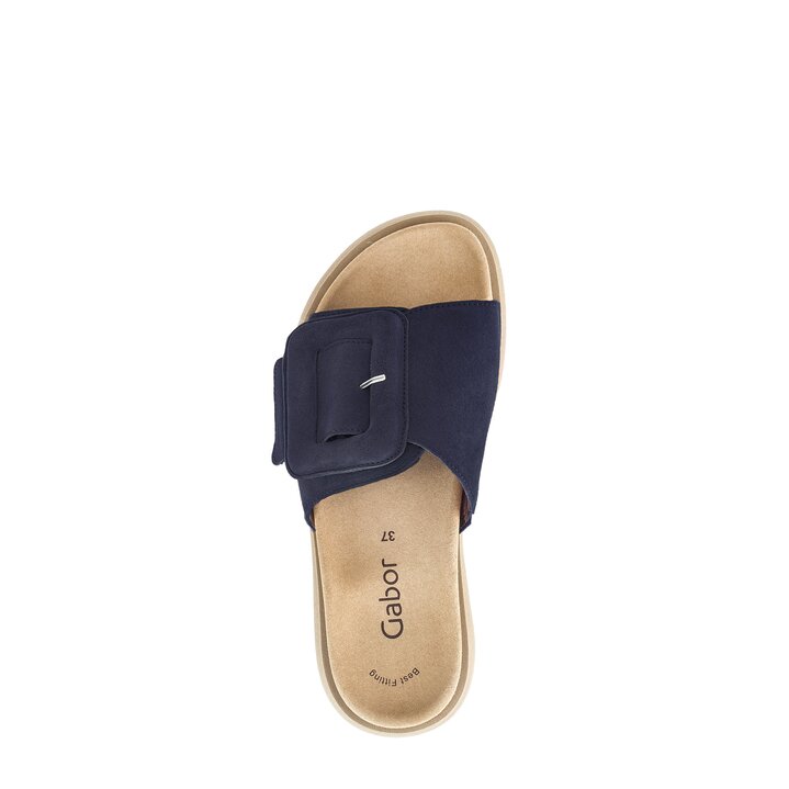 Mule bleu #5