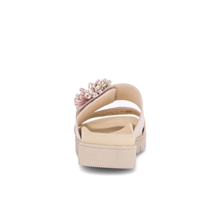 Mule rose #3