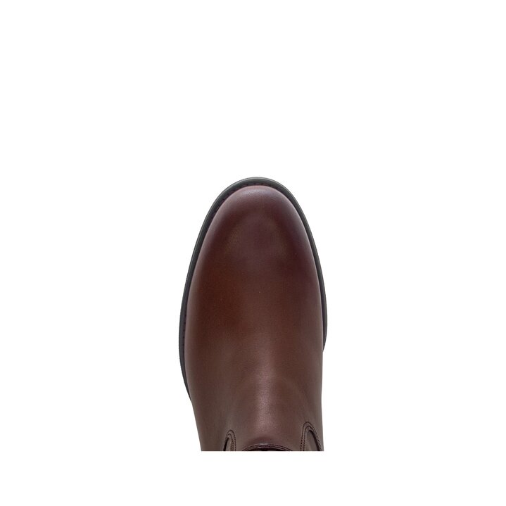 Cavalière marron #5