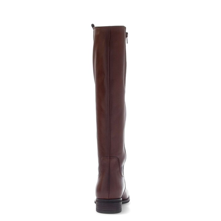 Cavalière marron #3
