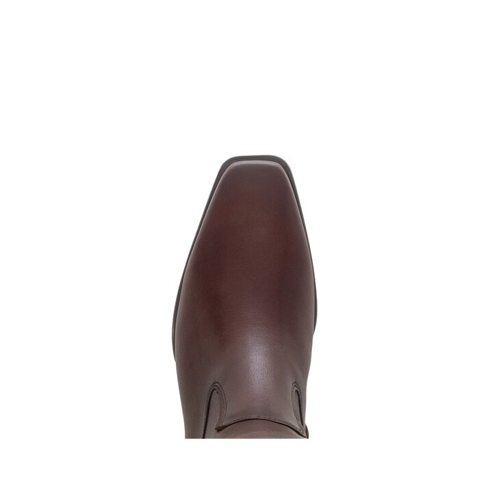 Cavalière marron #5