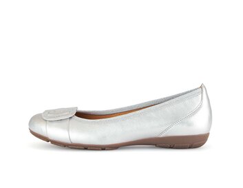  p13955934 silver