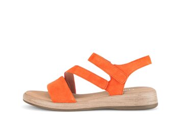  p14304407 oranje