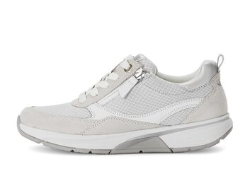  p17707684 gris