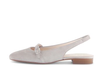  p17707643 gris