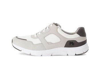  p17706724 gris