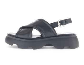  p17707572 black