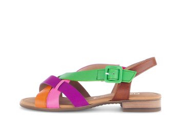  p17707785 multicolour