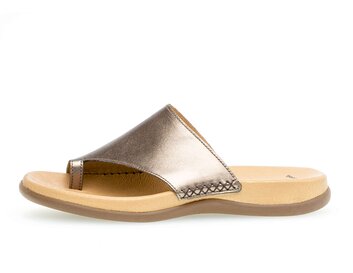 p588339 brons