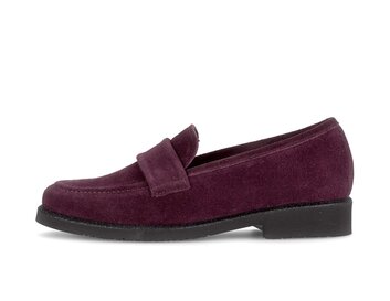 Slipper rot