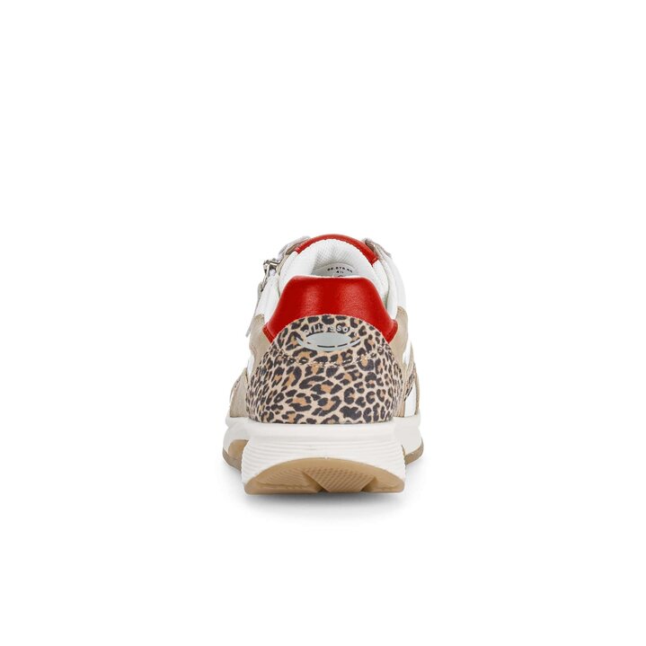 Basket basse multicolore #3