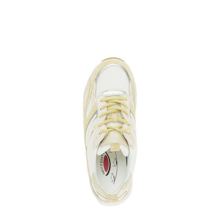 Basket basse multicolore #5
