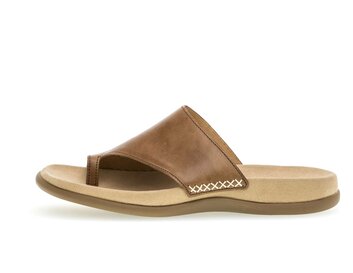  p588426 marrone